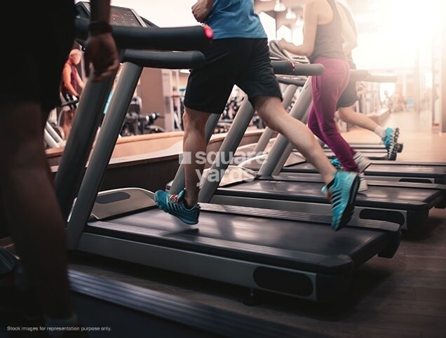 Shapoorji Pallonji Northern Lights Omega