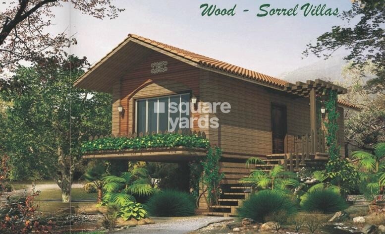 Shree Ramdewbaba Dreamland City