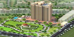 Star Hibiscus Heights