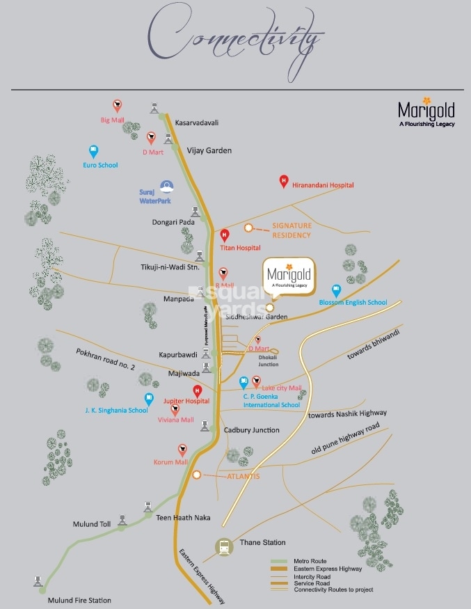 STG Marigold Siddheshwar Garden