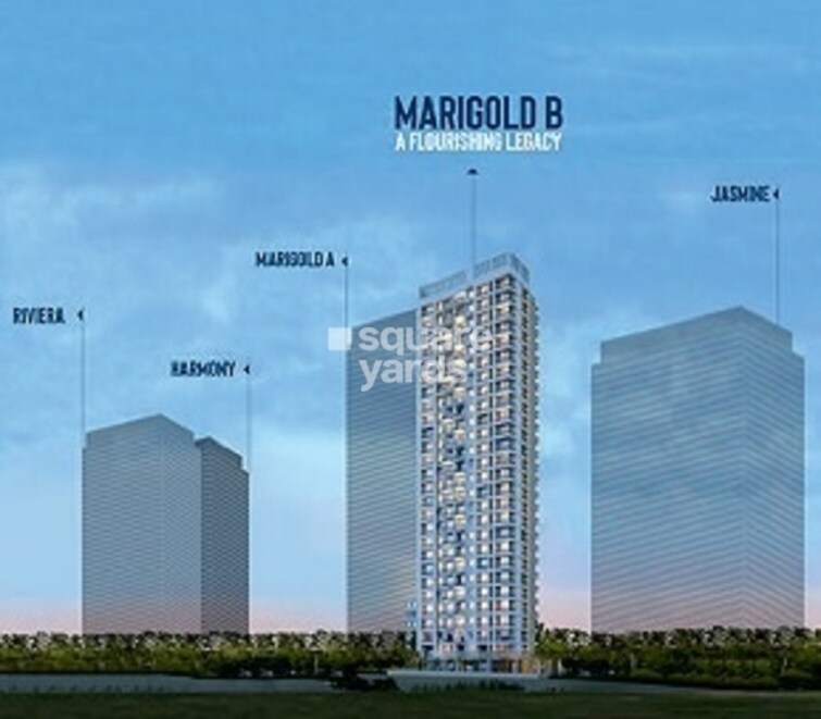 STG Marigold Siddheshwar Garden Tower View