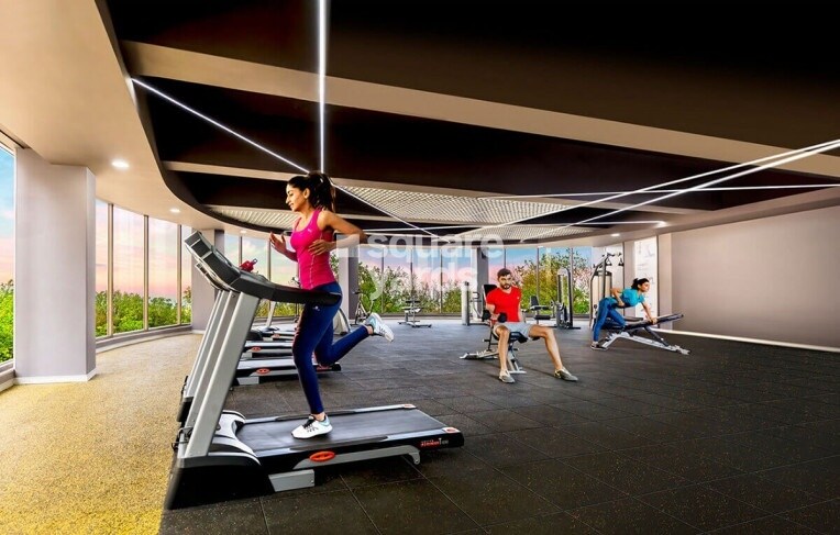 Tata Amantra Gymnasium Image