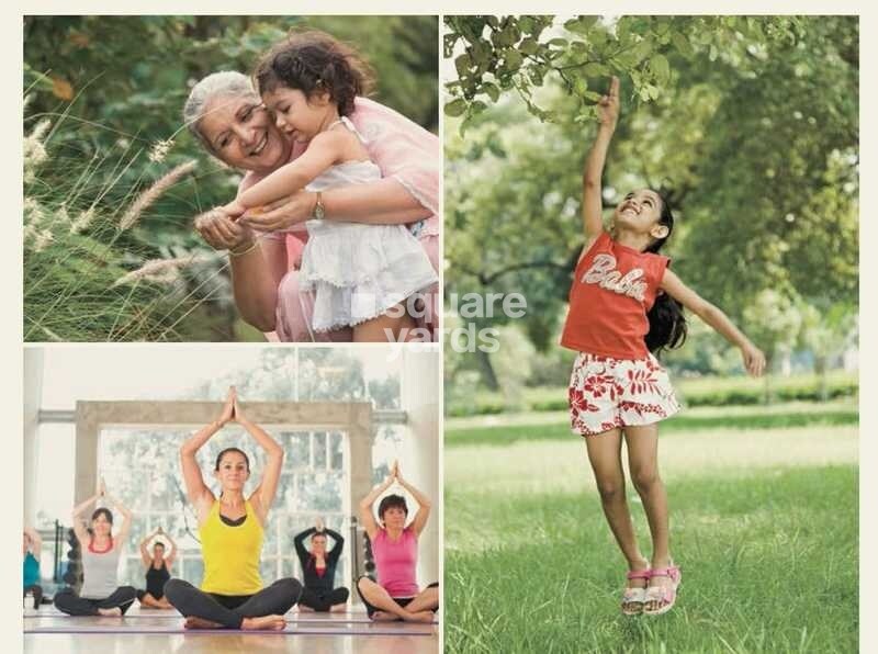 The Wadhwa Solitaire