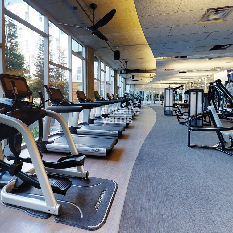 Trimity Stellar Gymnasium Image