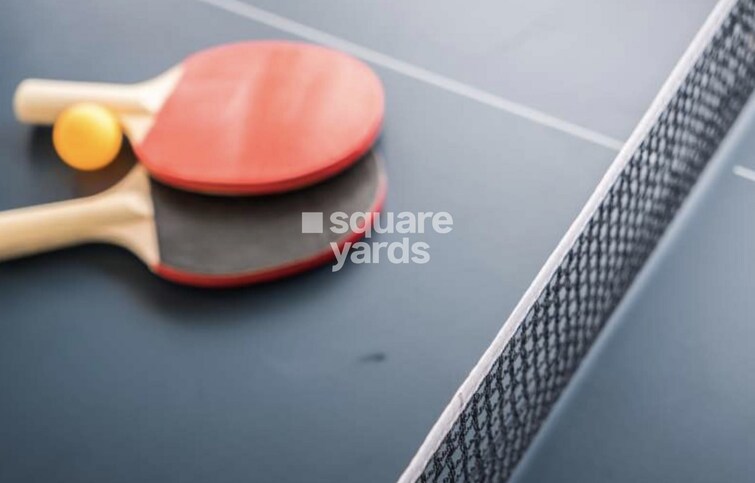 Trimity Stellar Sports facilities Image 1