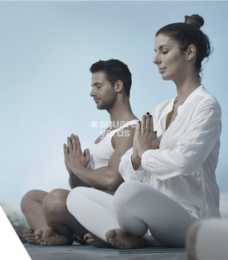 Triveni Majesta Amenities-Features 6