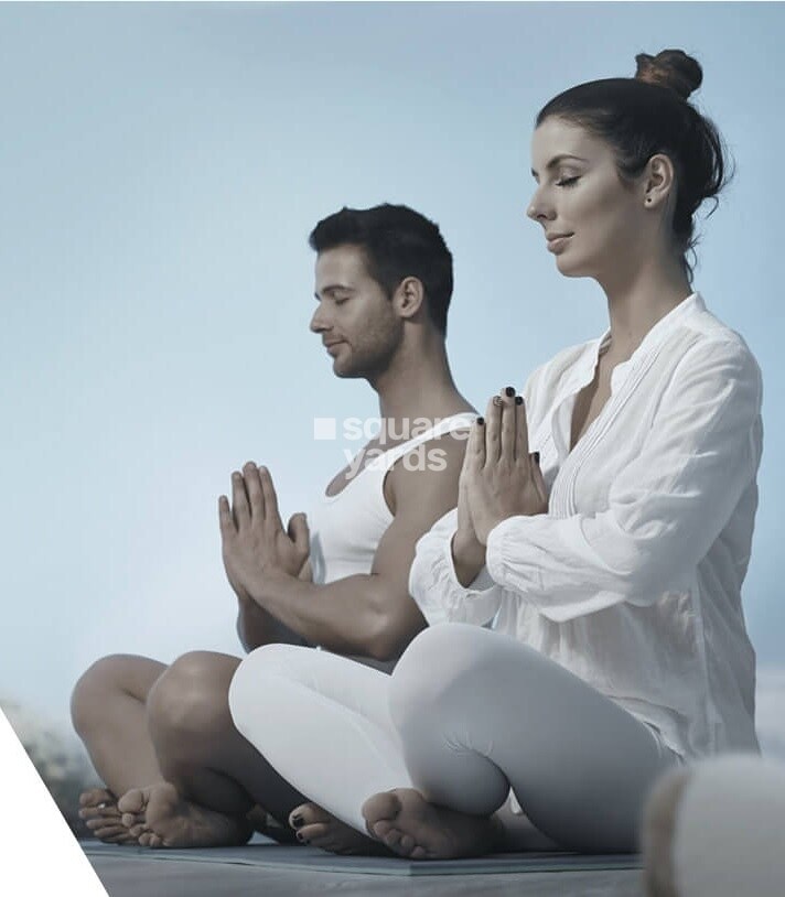 Triveni Majesta Amenities-Features 6