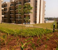 VBHC Hillview Tower View