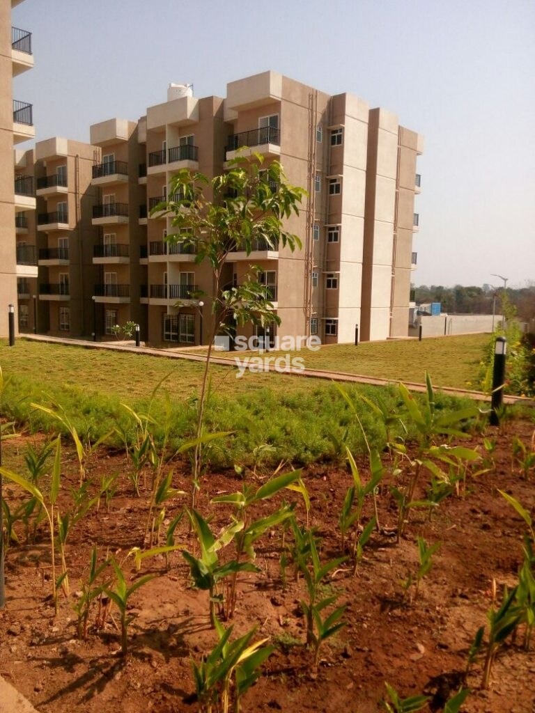 VBHC Hillview Tower View 2