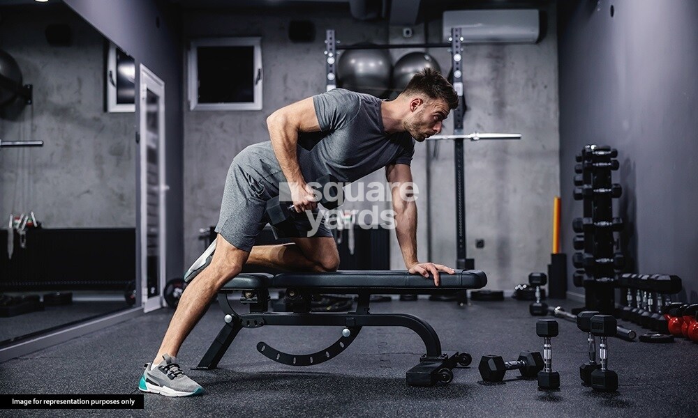 Venus Skky City Vivanta