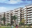 Wadhwa Daisy Gardens