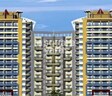 Wadhwa Meadows
