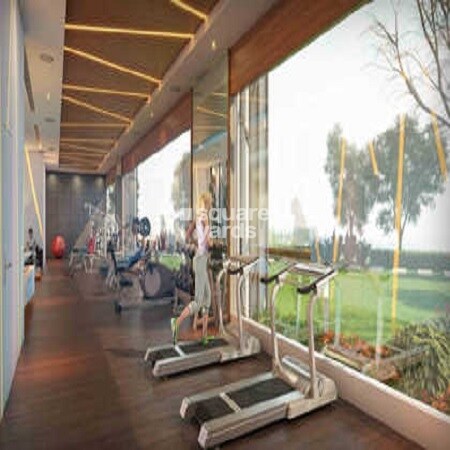 Waterfront Tropical Panache Gymnasium Image