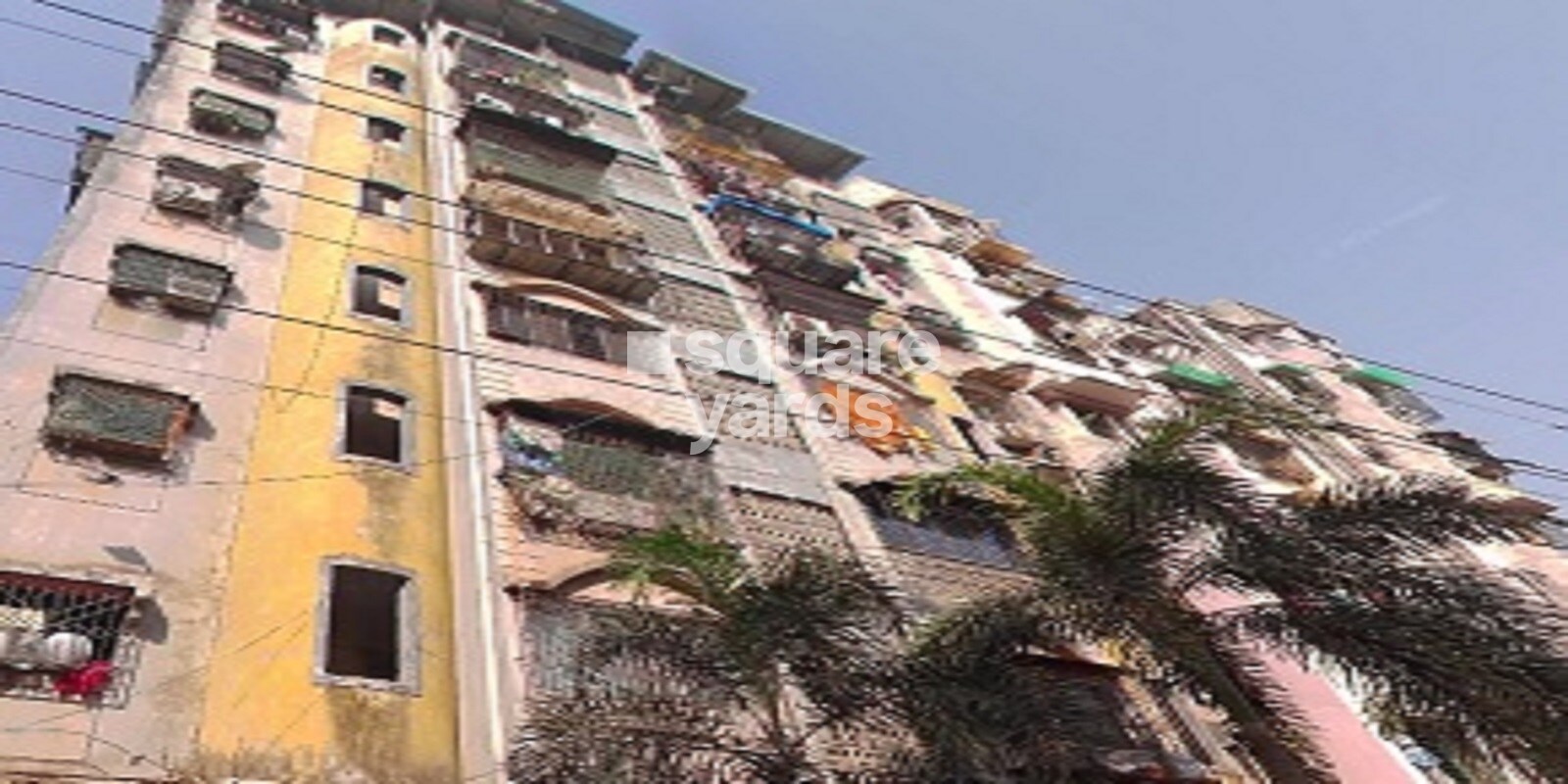 Zoya Complex