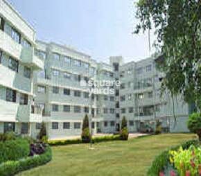 5P Tulsi Sankalp Flagship