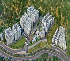 A Plus Golden Van Featured Image