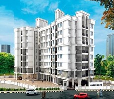 Amber Elite Featured Image