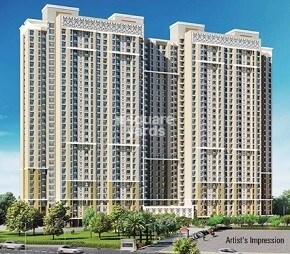 Dosti Oak