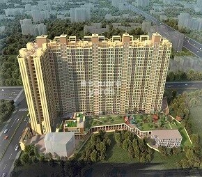 DZ City