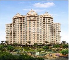 Falco Woodshire Featured Image