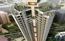 Harmony Sky Suites Featured Image