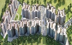 Haware Pinnacle Featured Image