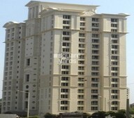 Hiranandani Woodrose Video
