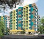 Jangid Spring Rose Flagship Image