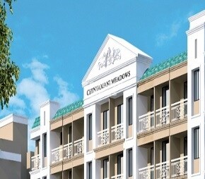 Jashnani Chintamani Meadows