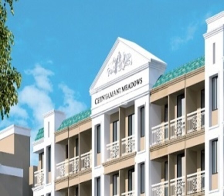 Jashnani Chintamani Meadows Cover Image