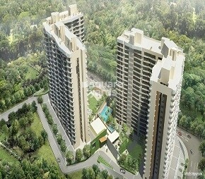Kalpataru Hills