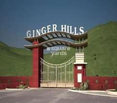 Karmvir Ginger Hills Flagship