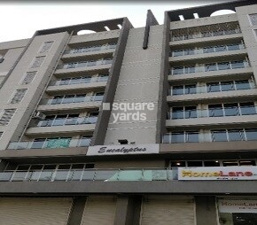 Kasam Eucalyptus, Manpada, Thane