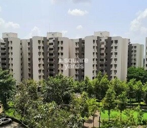lodha-casario-rilletta