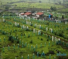 Mirador Oasis Estate Featured Image