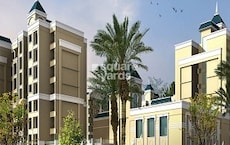 Mohan Palms Featured Image