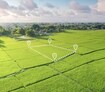 Mount Valley Plot Cover Image