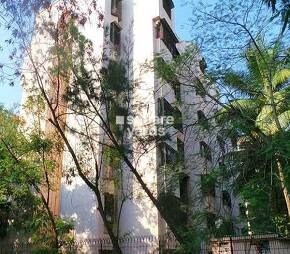 New Harsh Accord CHS Mira Road