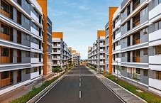 New Haven Vasind Featured Image