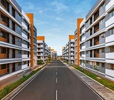 New Haven Vasind Featured Image