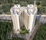 Patel Infinia Flagship Image