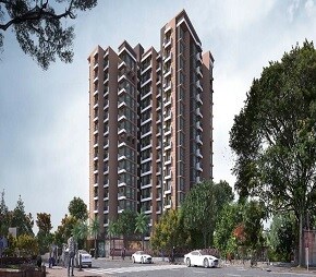 Patel Zenith