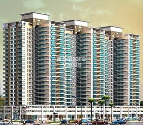 Ravi Group Gaurav Woods