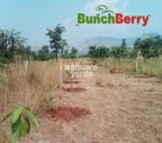 Seema Bunch Berry, Shahapur, Thane