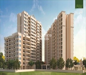 Skybound Arzoo Greens