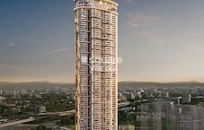 STG Star Living Featured Image