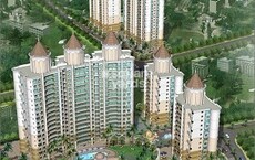 Tharwani Rosalie Featured Image