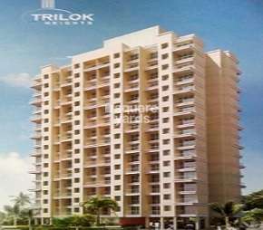 Trilok Heights Cover Image