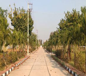 Dollars Colony 20 residential project in Arepalle