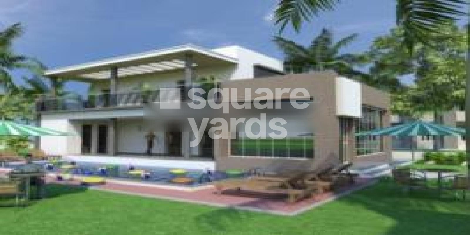 Aries Empyrean Woods